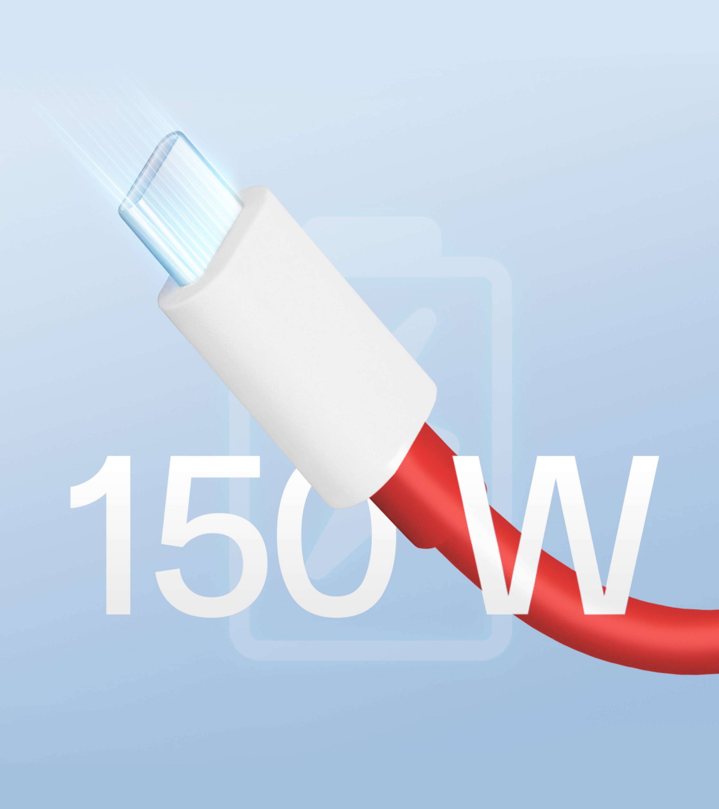 OnePlus Type C to Type C Cable